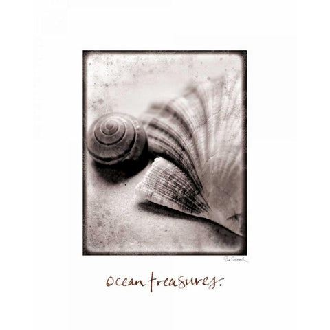 Ocean Treasures Black Modern Wood Framed Art Print by Schlabach, Sue