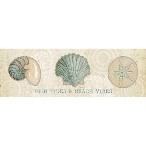 Beach Treasures VIII Black Modern Wood Framed Art Print with Double Matting by Adams, Emily
