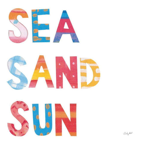Sea Sand Sun IV Black Modern Wood Framed Art Print with Double Matting by Prahl, Courtney