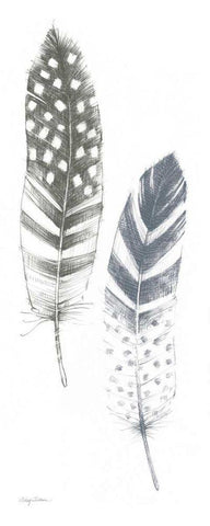 Feather Sketches VIII Blue Gray White Modern Wood Framed Art Print with Double Matting by Tillmon, Avery