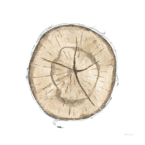 Natures Leaves VII White Modern Wood Framed Art Print with Double Matting by Grove, Beth