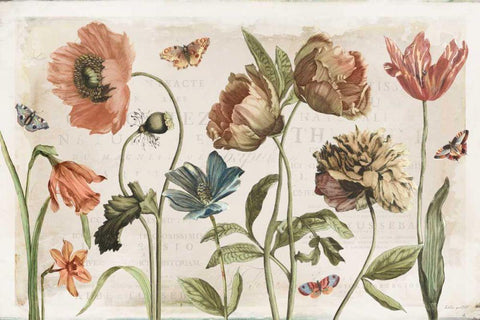 Antiquarian Blooms I White Modern Wood Framed Art Print with Double Matting by Pertiet, Katie