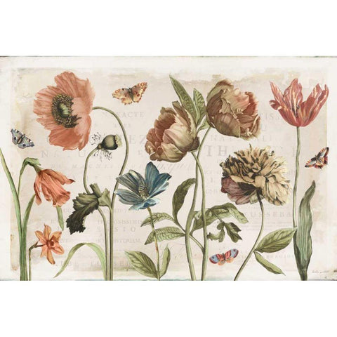 Antiquarian Blooms I Gold Ornate Wood Framed Art Print with Double Matting by Pertiet, Katie