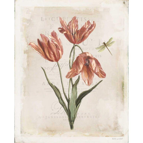 Antiquarian Blooms III Gold Ornate Wood Framed Art Print with Double Matting by Pertiet, Katie