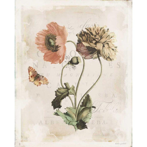 Antiquarian Blooms IV Gold Ornate Wood Framed Art Print with Double Matting by Pertiet, Katie
