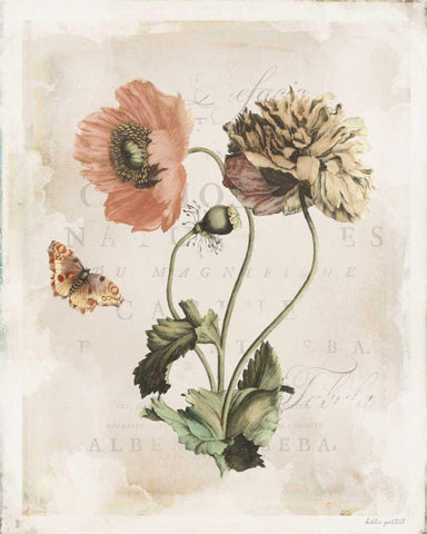 Antiquarian Blooms IV White Modern Wood Framed Art Print with Double Matting by Pertiet, Katie