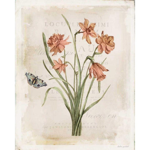Antiquarian Blooms V Gold Ornate Wood Framed Art Print with Double Matting by Pertiet, Katie