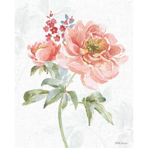 Floral Focus VI Gold Ornate Wood Framed Art Print with Double Matting by Grove, Beth