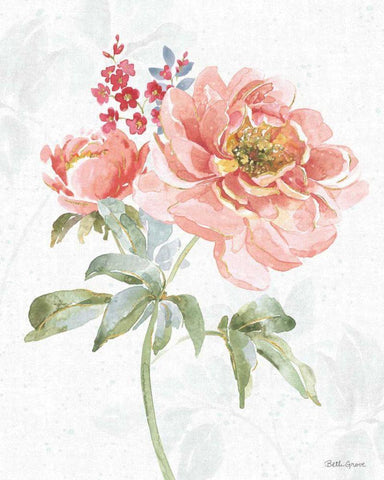 Floral Focus VI White Modern Wood Framed Art Print with Double Matting by Grove, Beth