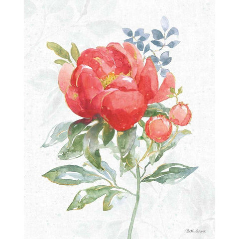 Floral Focus VII Gold Ornate Wood Framed Art Print with Double Matting by Grove, Beth