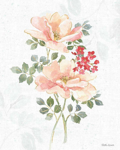 Floral Focus VIII White Modern Wood Framed Art Print with Double Matting by Grove, Beth