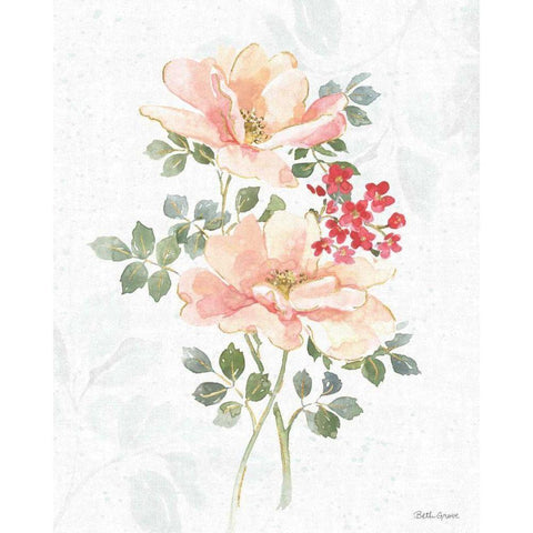 Floral Focus VIII Gold Ornate Wood Framed Art Print with Double Matting by Grove, Beth