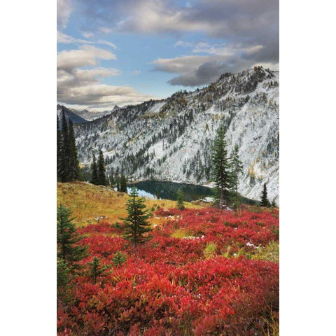 Lake Ann North Cascades White Modern Wood Framed Art Print by Majchrowicz, Alan