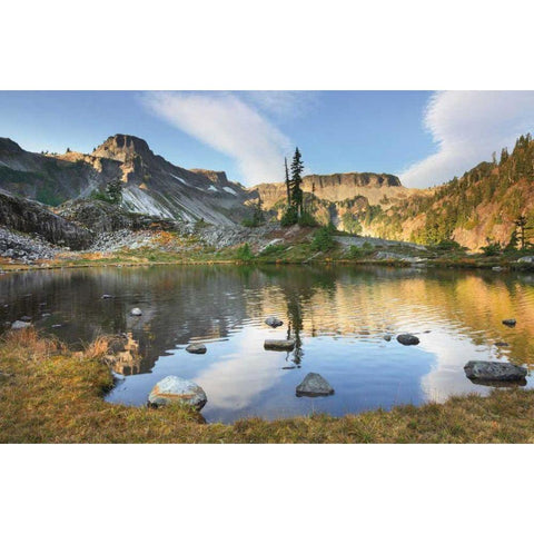 Heather Meadows in Autumn White Modern Wood Framed Art Print by Majchrowicz, Alan