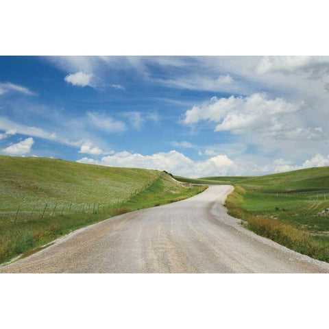 Gravel Road Near Choteau Montana I Gold Ornate Wood Framed Art Print with Double Matting by Majchrowicz, Alan