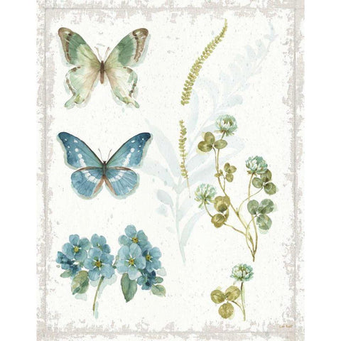 My Greenhouse Botanical IV No Words White Modern Wood Framed Art Print by Audit, Lisa