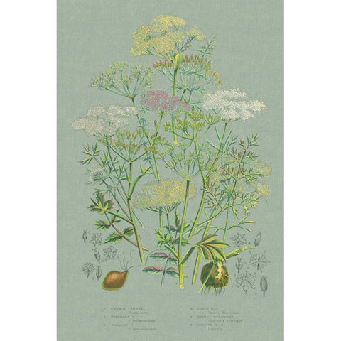Flowering Plants II Green Linen Gold Ornate Wood Framed Art Print with Double Matting by Wild Apple Portfolio