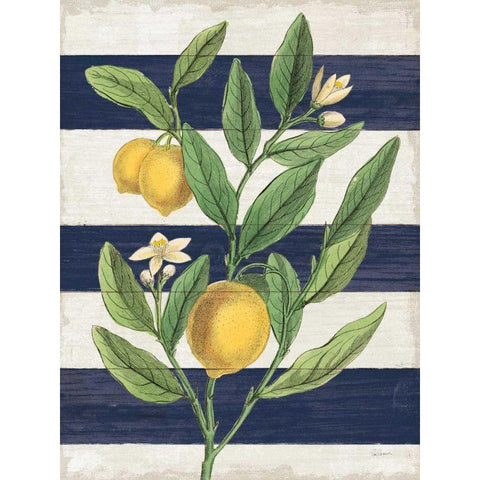 Classic Citrus V Navy Shiplap NW Gold Ornate Wood Framed Art Print with Double Matting by Schlabach, Sue