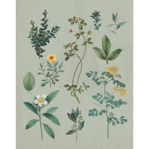 Victorian Garden V Gold Ornate Wood Framed Art Print with Double Matting by Wild Apple Portfolio
