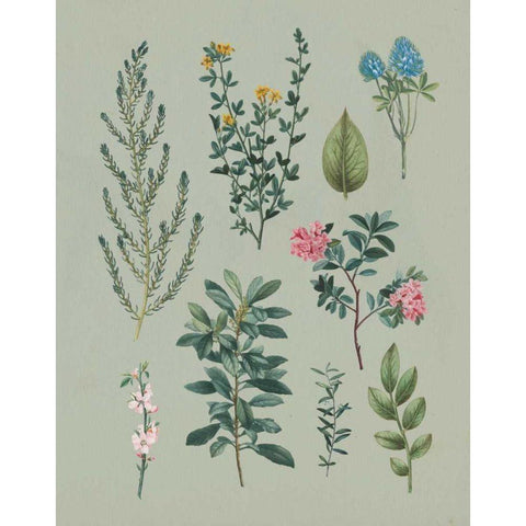 Victorian Garden VI Gold Ornate Wood Framed Art Print with Double Matting by Wild Apple Portfolio