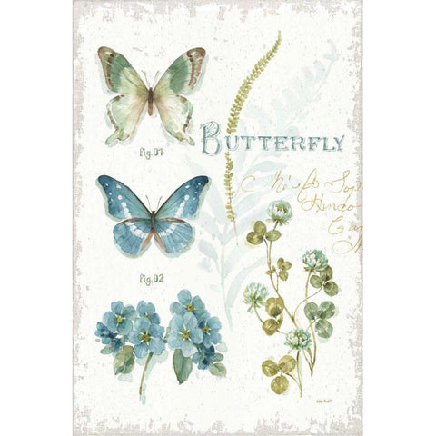 My Greenhouse Botanical Butterfly White Modern Wood Framed Art Print by Audit, Lisa