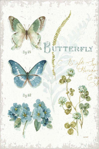 My Greenhouse Botanical Butterfly Black Ornate Wood Framed Art Print with Double Matting by Audit, Lisa