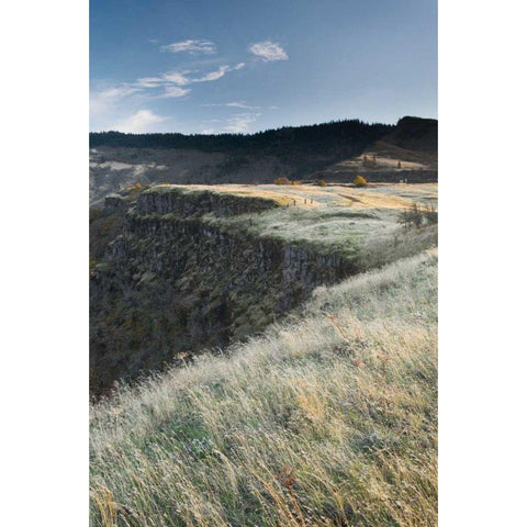Columbia River Gorge Gold Ornate Wood Framed Art Print with Double Matting by Majchrowicz, Alan