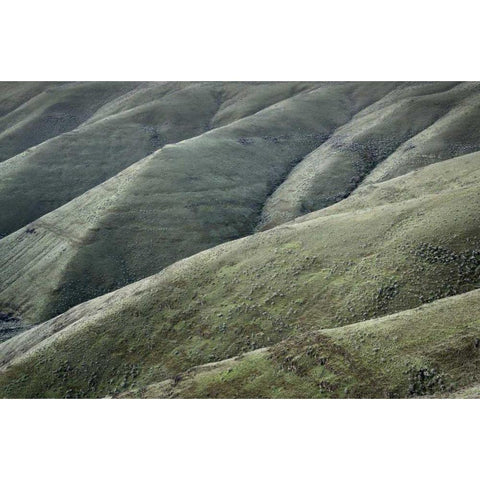 Columbia Plateau Oregon Gold Ornate Wood Framed Art Print with Double Matting by Majchrowicz, Alan