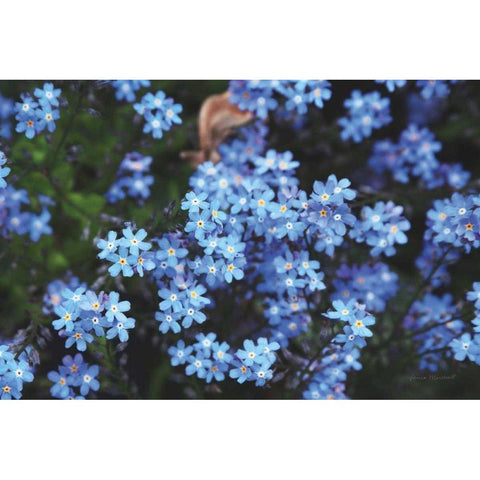 Forget Me Nots III Gold Ornate Wood Framed Art Print with Double Matting by Marshall, Laura