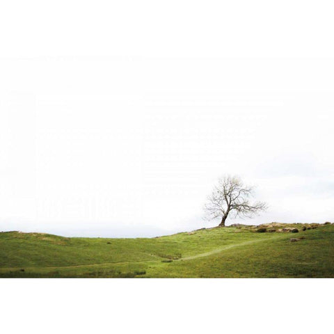Dales Way I White Modern Wood Framed Art Print by Marshall, Laura