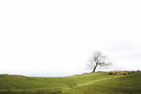 Dales Way I White Modern Wood Framed Art Print with Double Matting by Marshall, Laura