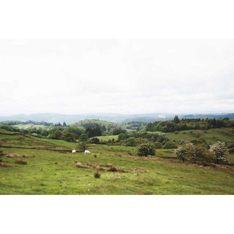 Lake District I Gold Ornate Wood Framed Art Print with Double Matting by Marshall, Laura
