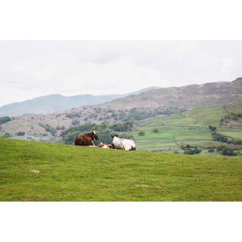 Lake District III Gold Ornate Wood Framed Art Print with Double Matting by Marshall, Laura