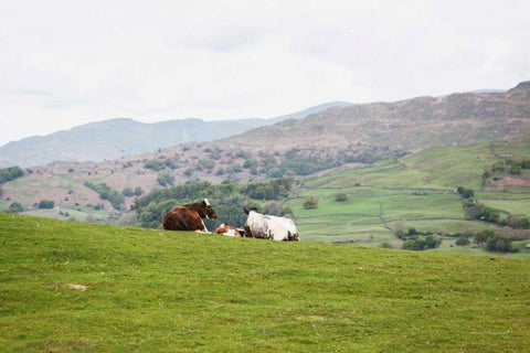 Lake District III White Modern Wood Framed Art Print with Double Matting by Marshall, Laura