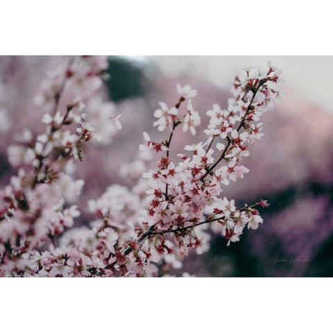 Cherry Blossom White Modern Wood Framed Art Print by Catterall, Elise