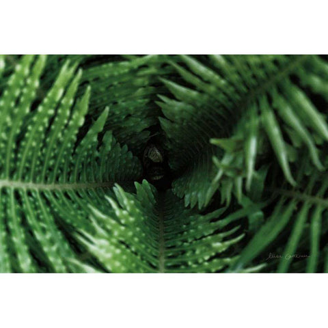 Fern Detail Gold Ornate Wood Framed Art Print with Double Matting by Catterall, Elise