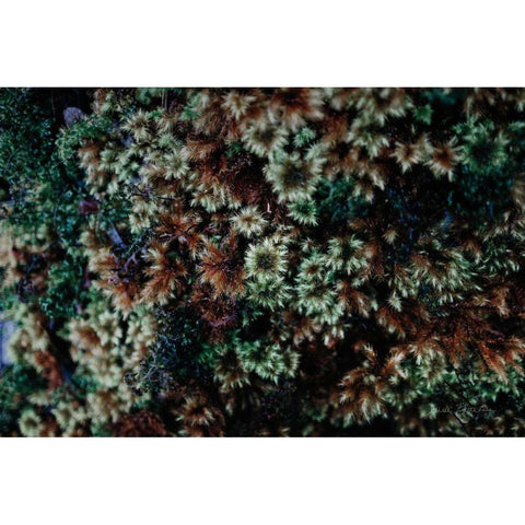 Moss Detail Gold Ornate Wood Framed Art Print with Double Matting by Catterall, Elise