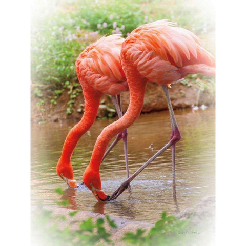 Two Flamingos Gold Ornate Wood Framed Art Print with Double Matting by Van Swearingen, Debra