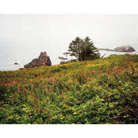Oregon Coast Gold Ornate Wood Framed Art Print with Double Matting by Van Swearingen, Debra