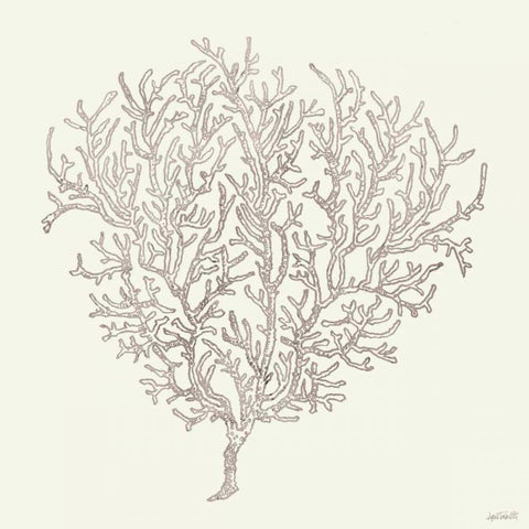 Coastal Breeze Shell Sketches I Silver Black Ornate Wood Framed Art Print with Double Matting by Tavoletti, Anne