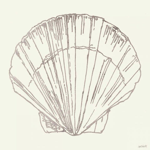 Coastal Breeze Shell Sketches V Silver Black Ornate Wood Framed Art Print with Double Matting by Tavoletti, Anne