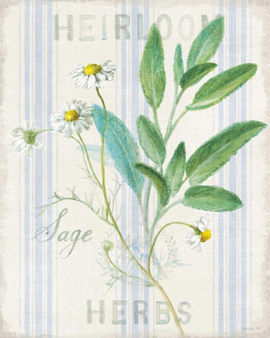 Floursack Herbs III White Modern Wood Framed Art Print with Double Matting by Nai, Danhui