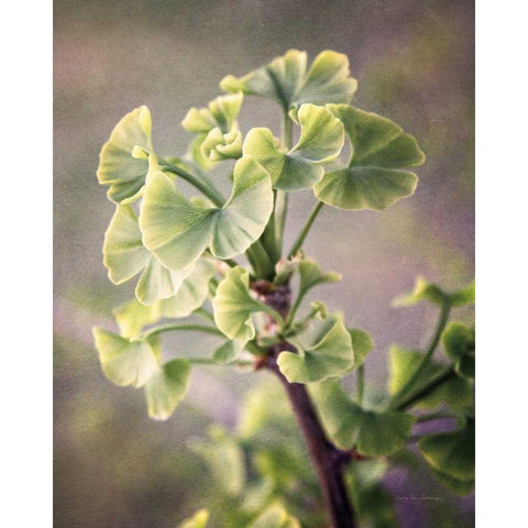 Sprouting Ginkgo I Gold Ornate Wood Framed Art Print with Double Matting by Van Swearingen, Debra