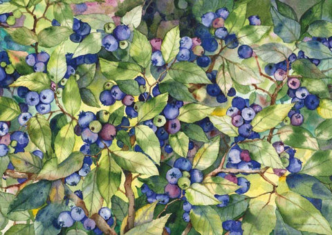 Blueberries White Modern Wood Framed Art Print with Double Matting by McKenna, Kathleen Parr