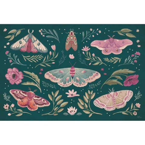 Winged Study I Plum Black Modern Wood Framed Art Print with Double Matting by Penner, Janelle