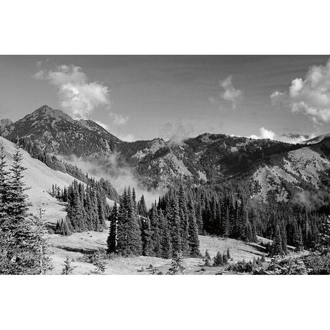 Olympic Mountains I Gold Ornate Wood Framed Art Print with Double Matting by Marshall, Laura