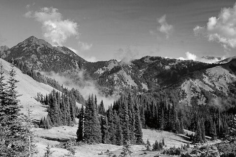 Olympic Mountains I Black Ornate Wood Framed Art Print with Double Matting by Marshall, Laura