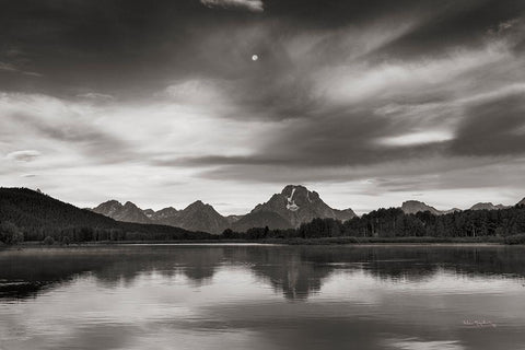 Oxbow Bend White Modern Wood Framed Art Print with Double Matting by Majchrowicz, Alan