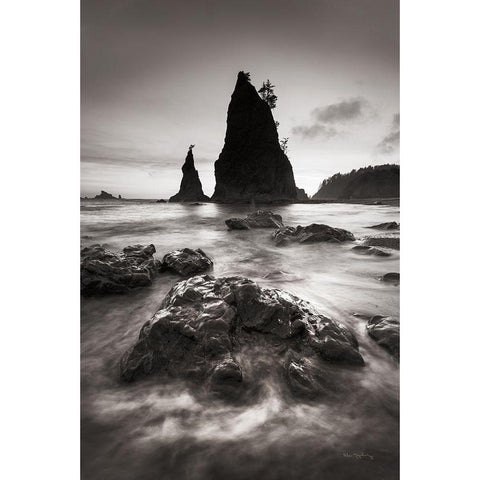 Split Rock Rialto Beach Gold Ornate Wood Framed Art Print with Double Matting by Majchrowicz, Alan