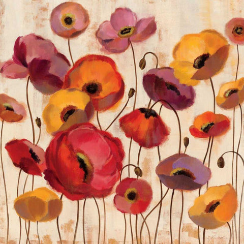 Sunrise Anemones White Modern Wood Framed Art Print with Double Matting by Vassileva, Silvia